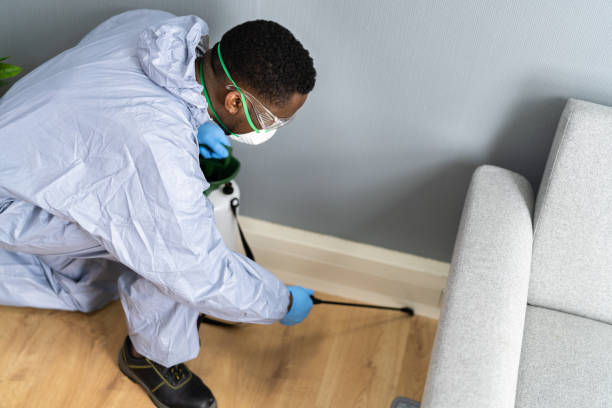 Best Real Estate Pest Inspections  in Mount Oliver, PA